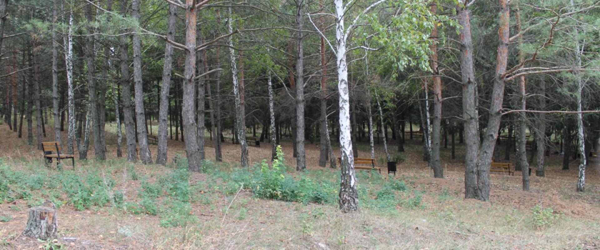 uploads/investigatii/2015/10/01/54(1920,800).jpg