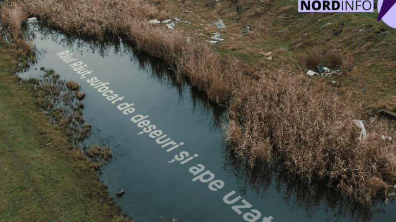 posts/2026/06/15/nc__13-45-35__810x455.png