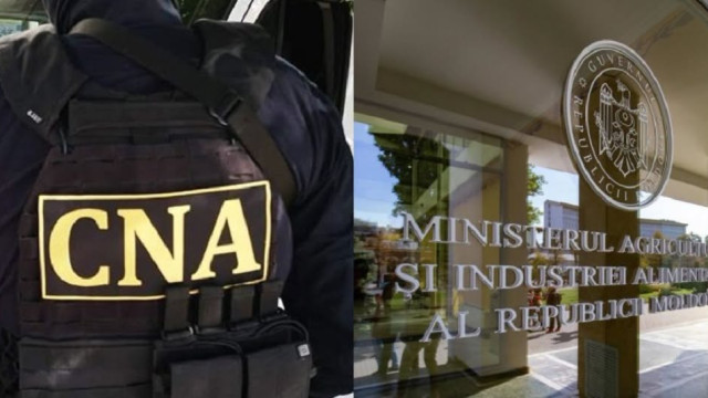 Secretara de stat, Tatiana Nistorică, reținută la nici jumătate de an de la numire. Bănuieli de corupție