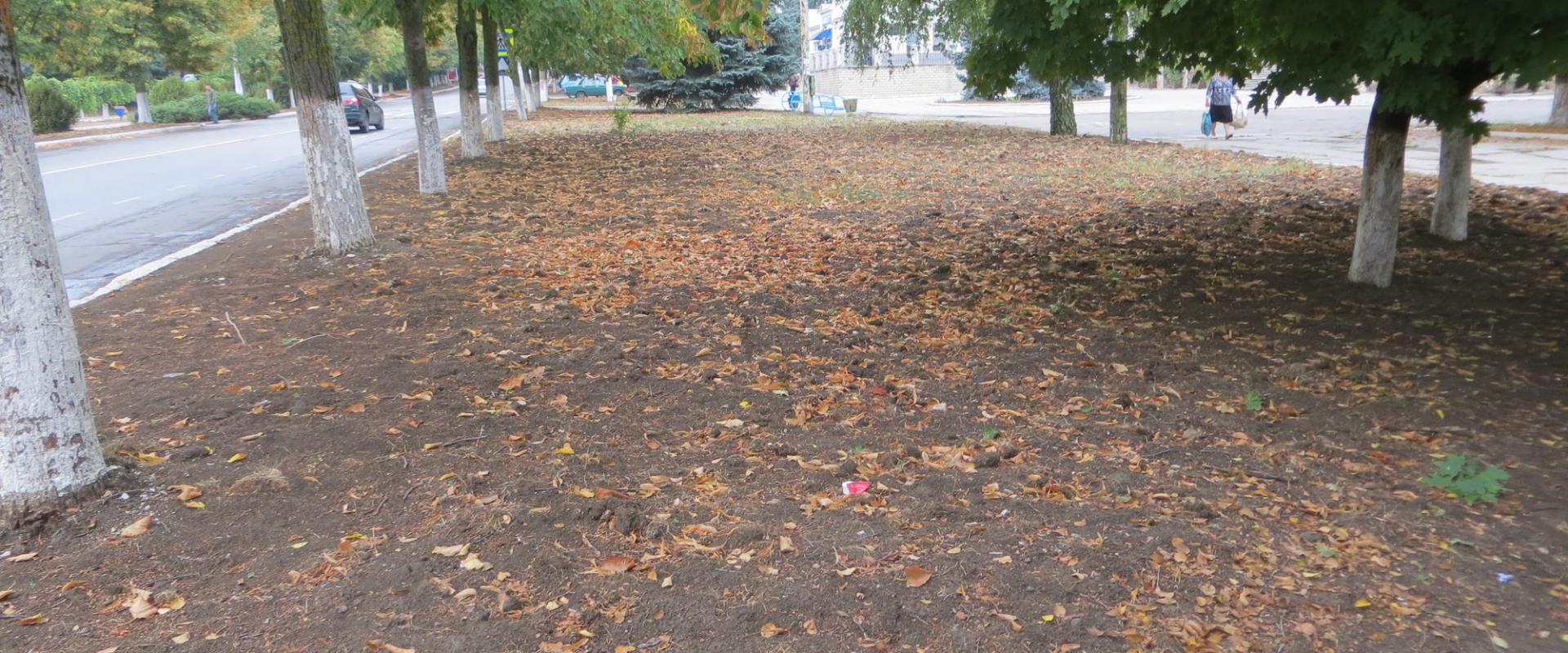 uploads/investigatii/2015/11/18/75(1920,800).jpg