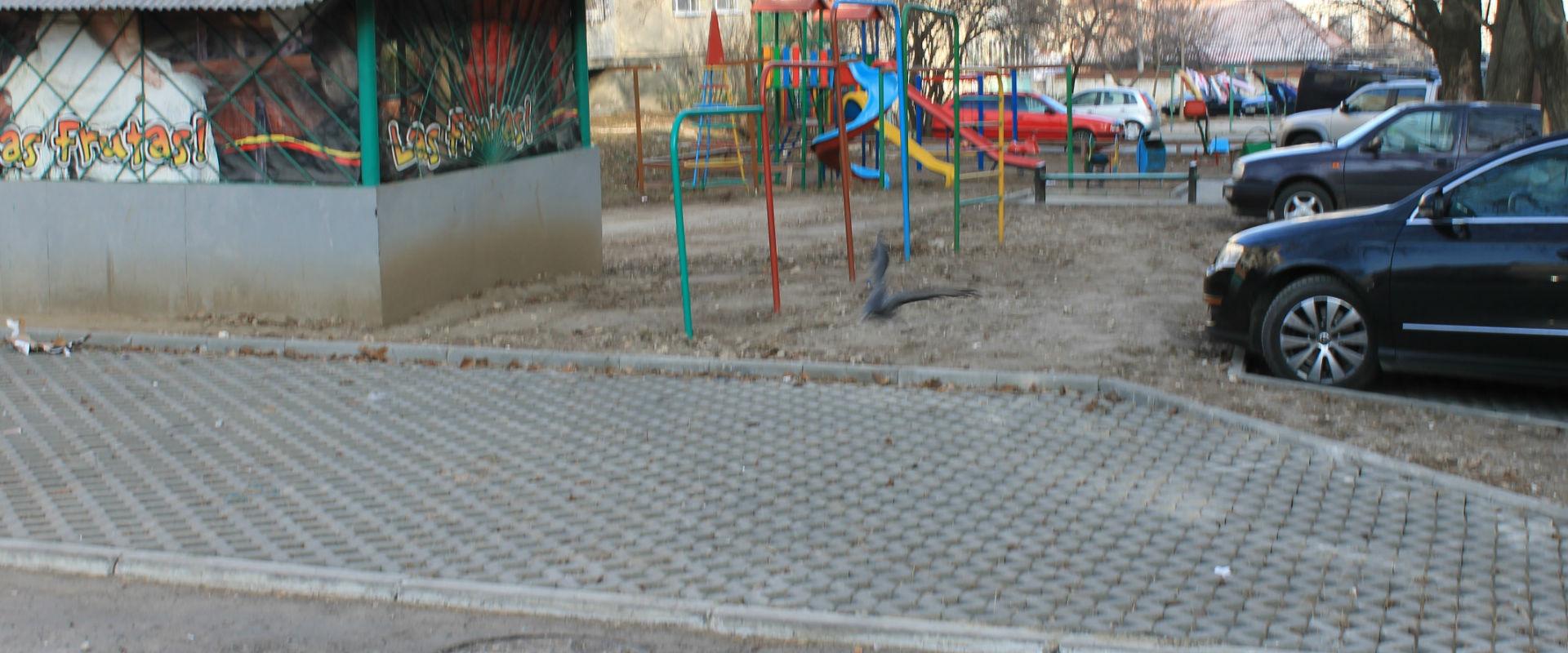 uploads/investigatii/2016/01/12/113(1920,800).jpg